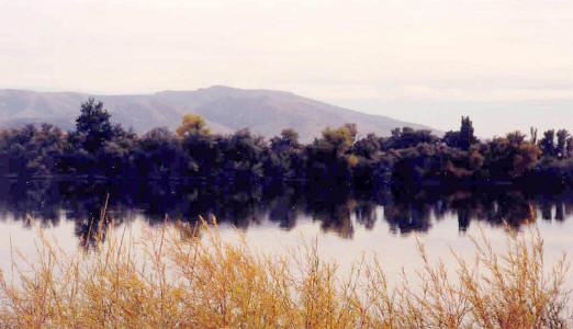 Snake River Reflection by Frenchman's Island