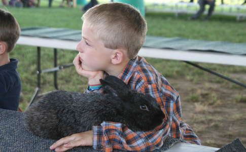 boy and his rabbitt